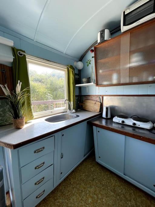 Fjordhytten. Rebuild Train Wagon From 1937. Apartamento Odense Exterior foto